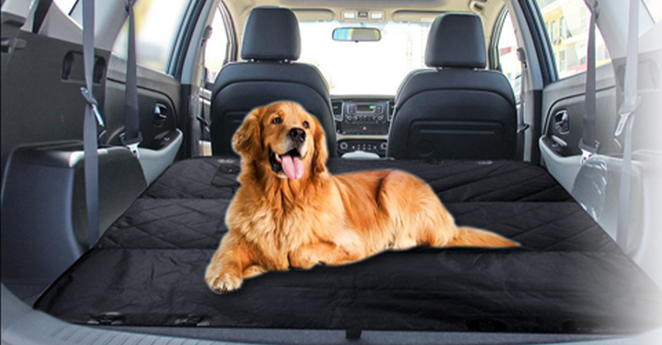 Top 10 Best Seat Covers for Dog Hair in 2021 Reviews - BestCheapPro