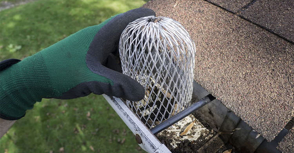 gutter screens vs gutter guards