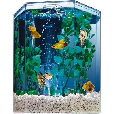 Tetra Bubbling Hexagon Shape LED aquarium Kit, 1 Gallon