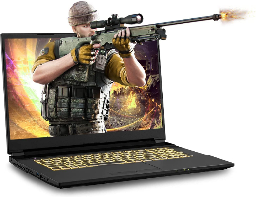 Sager 17.3 Inch Thin Bezel Gaming Laptop, NP7879KQ